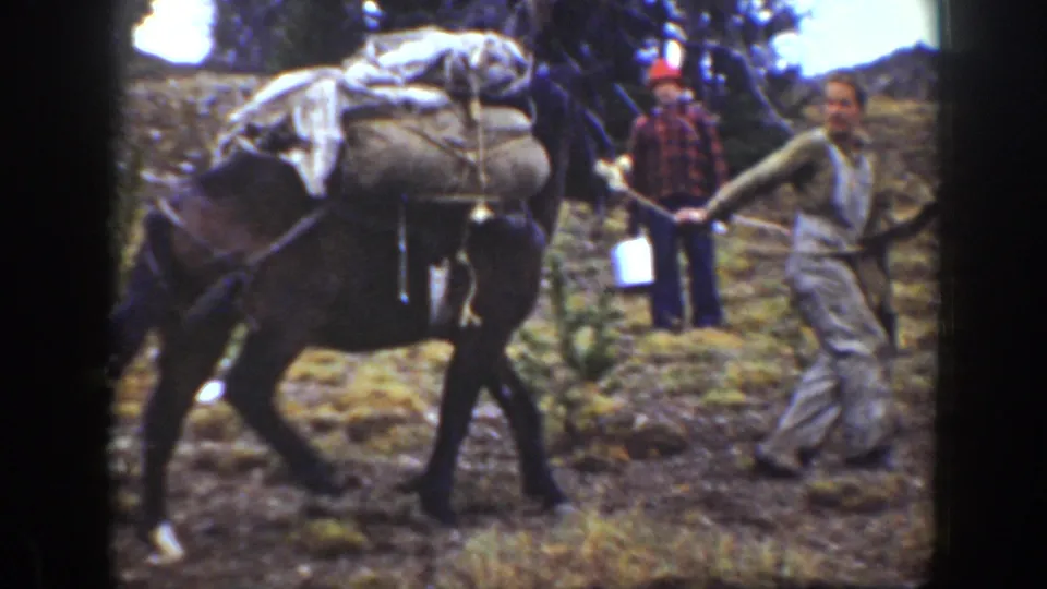 1938 California 8mm frame with a man leading a pack mule loaded with supplies past two men standing on a wooded slope.