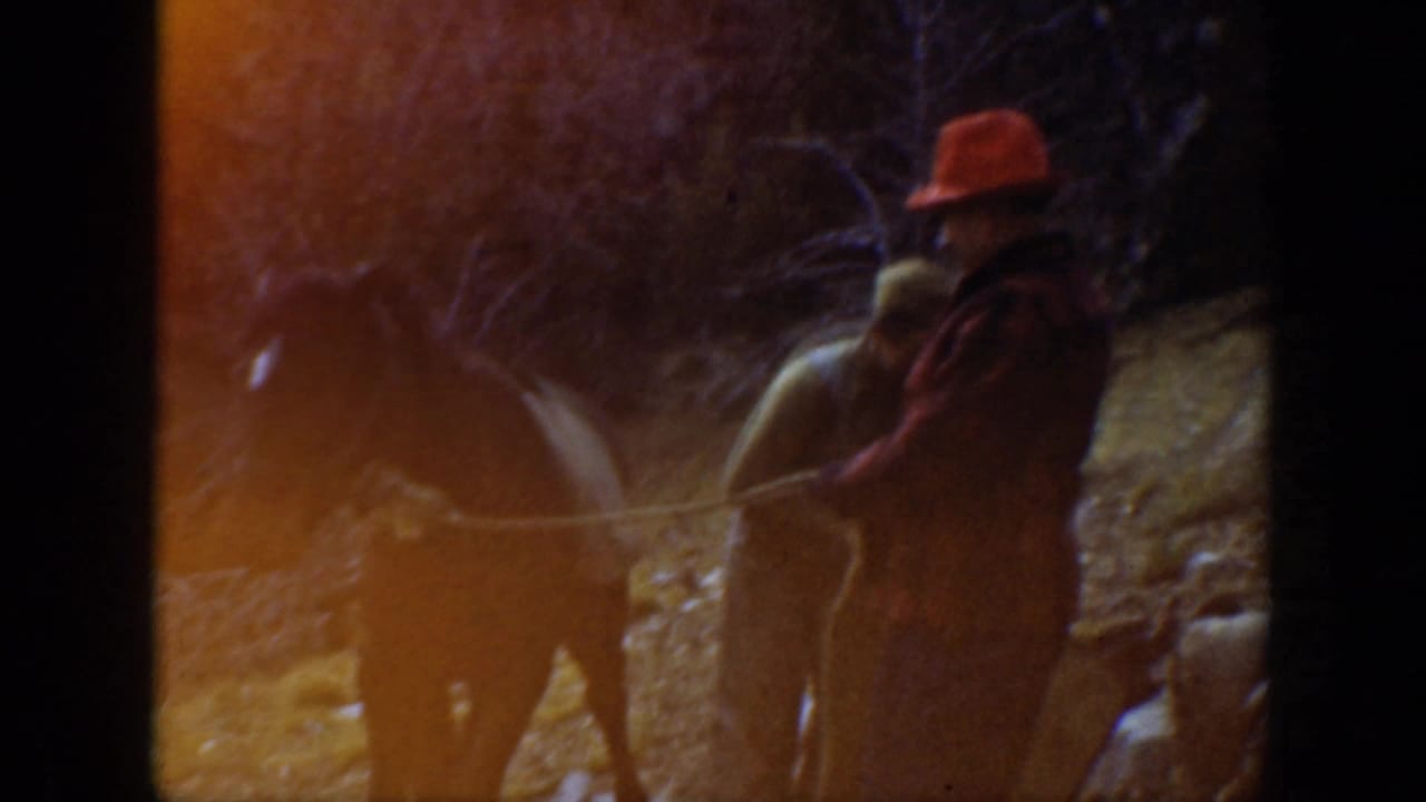 1938 California home-movie frame showing a man in a red hat beside a pack mule on a rugged forest trail.