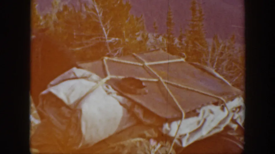 Close 1938 California frame of a large canvas pack strapped with rope on a mule or pack animal near forested terrain.