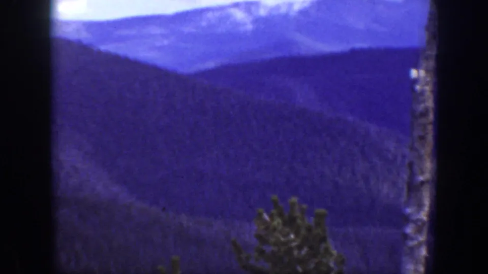 1938 California 8mm frame showing layered mountain slopes, a vertical roadside tree trunk, and foreground evergreens.