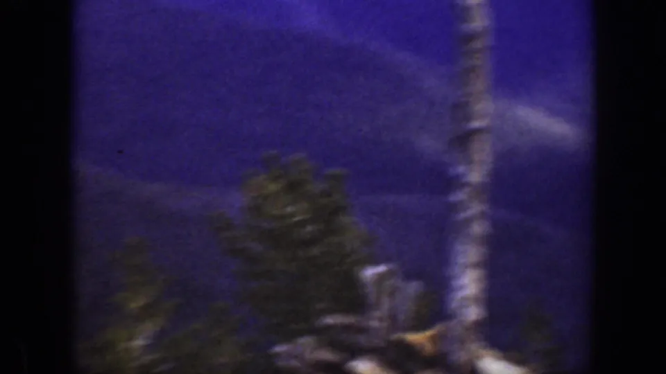 Purple-shifted California mountain view with evergreens and a pale tree trunk in a handheld 8mm frame.