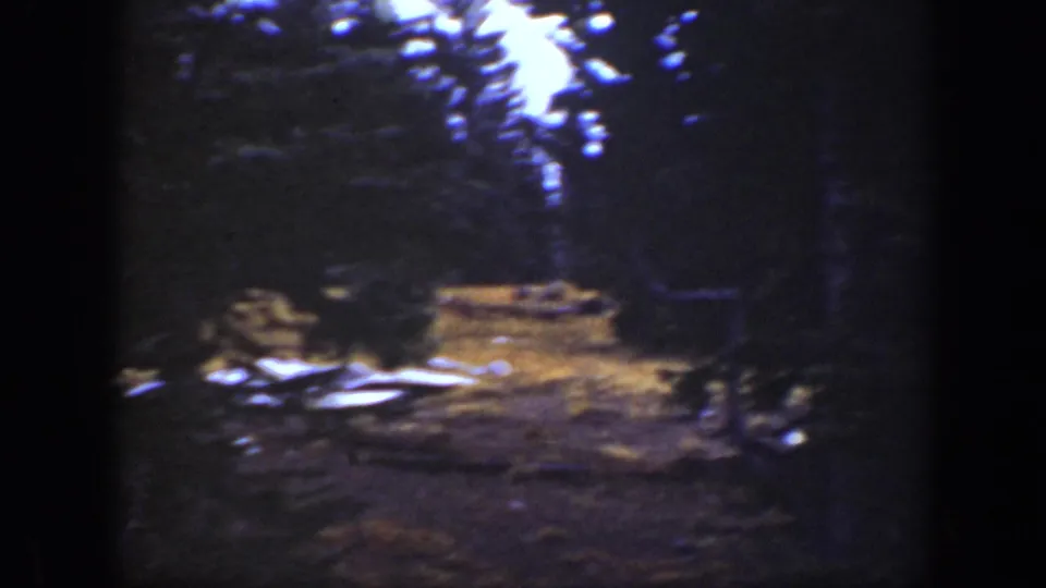 A final low-light view of the wooded clearing shows dense trees, dark shadows, and pale ground patches in the 1938 California footage.
