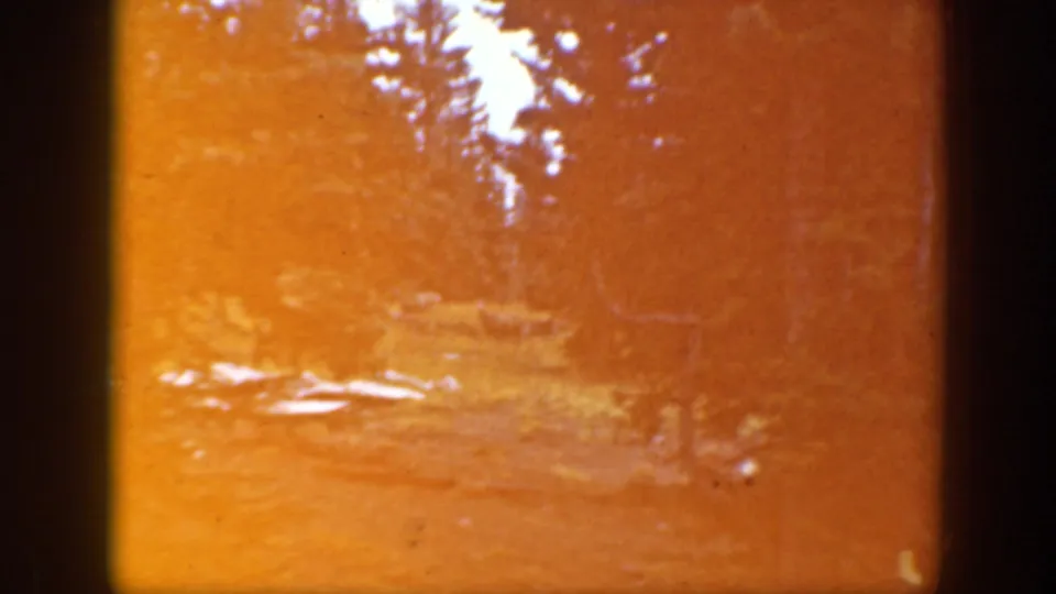 Overexposed orange 8mm frame of the same wooded California clearing, with tree silhouettes and pale snow or ground patches.