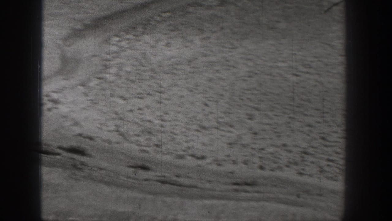 Sandy ground with scattered rocks, scrub, and a faint curving path.