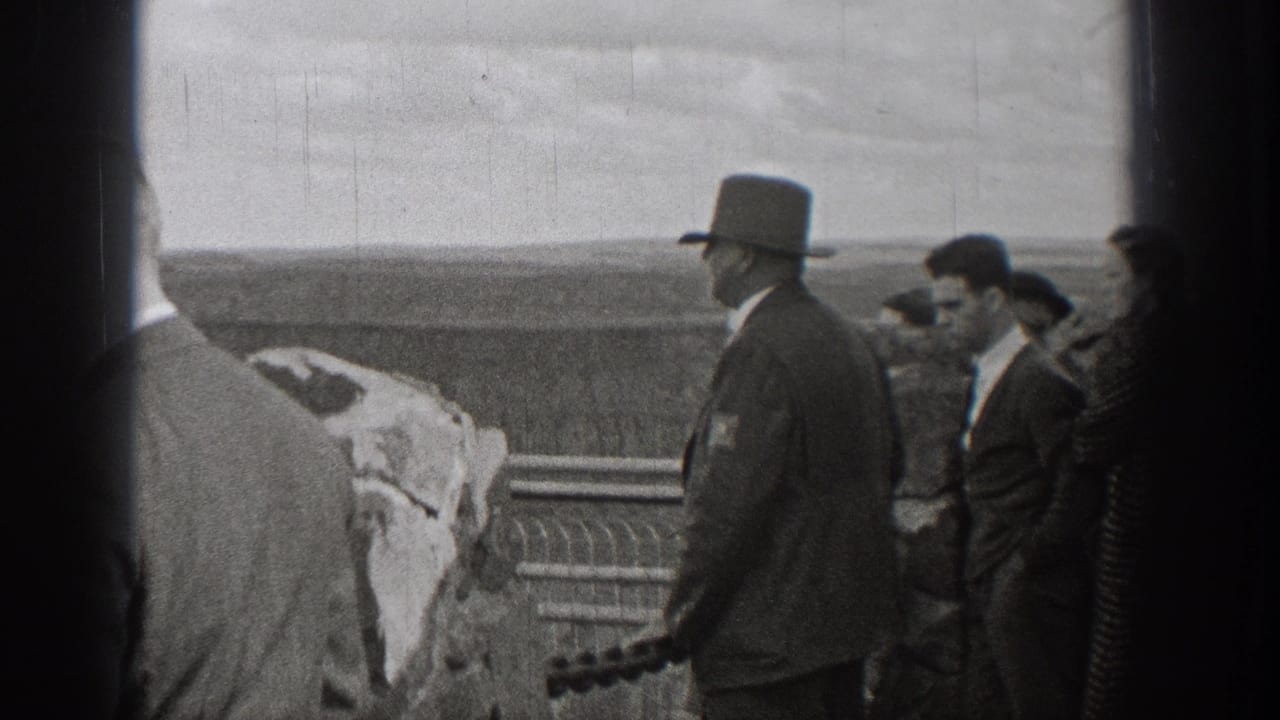 Adults in formal clothing stand near a railing with open landscape behind them.