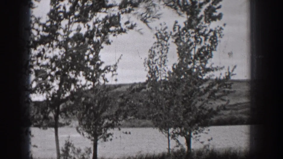 Washington 1938 lakeside frame with trees in the foreground, water beyond, a wooded shore, and small boat shapes in the distance.