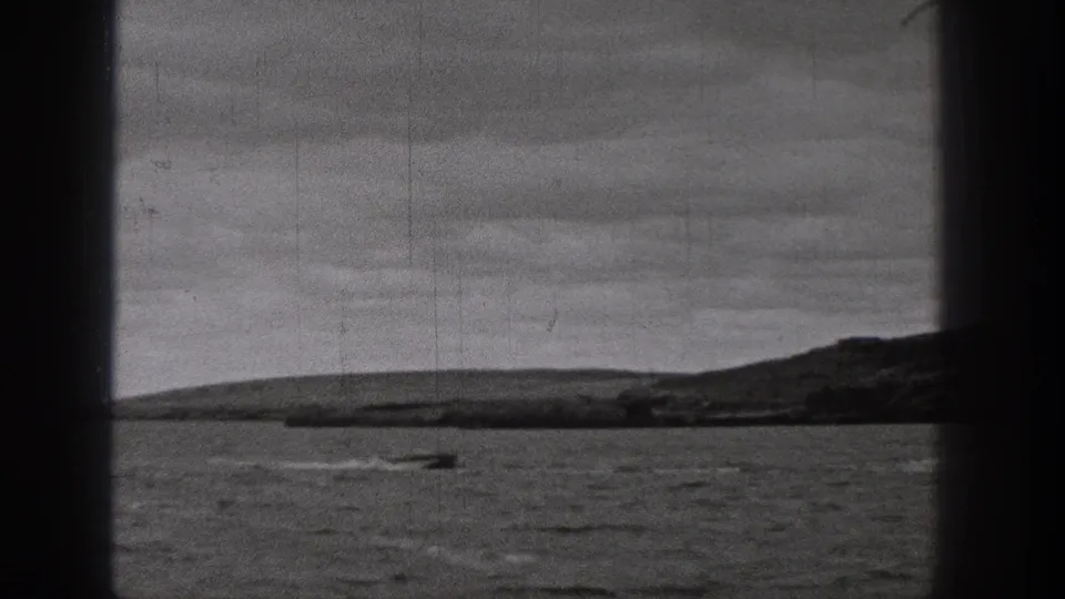 Black-and-white 8mm view of a motorboat crossing open water in Washington, with a low shoreline and dark gate edges visible.