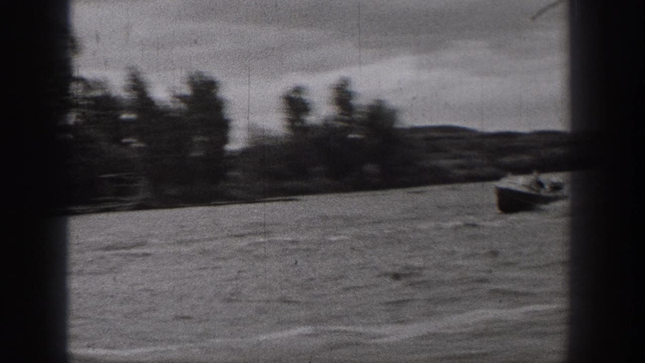 Motorboat near the right side of a lake with trees and shoreline behind it.