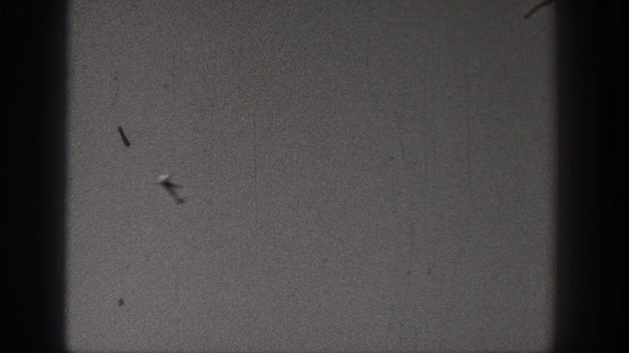 The distant aircraft appears blurred against the sky near the end of the 1938 Washington 8mm clip.