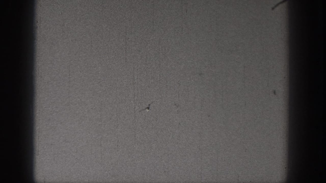 The model airplane appears farther across the gray sky in a scratched 1938 Washington home-movie frame.