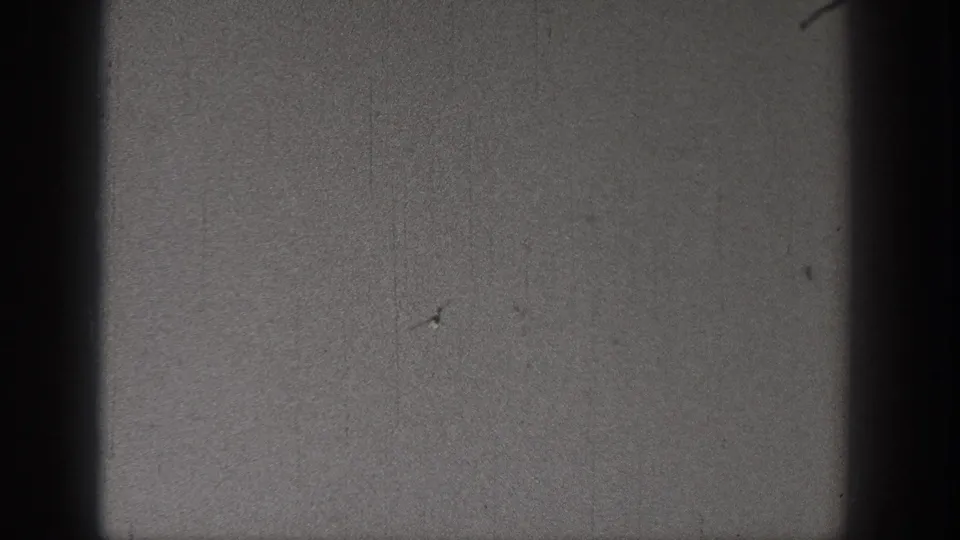 The model airplane appears farther across the gray sky in a scratched 1938 Washington home-movie frame.