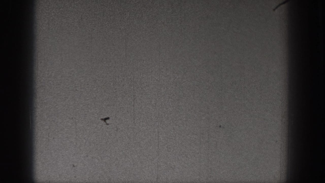 Dark grainy sky with a tiny speck and vertical film border shadow.