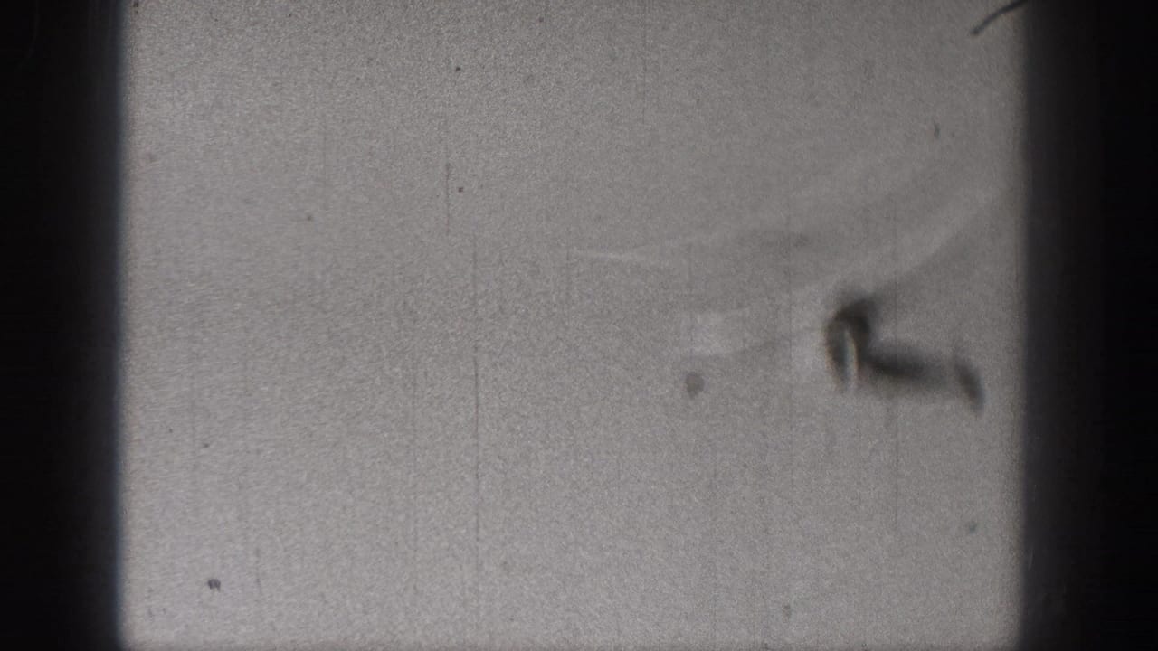 Soft 1938 Washington 8mm frame with the unmanned glider blurred in flight across the open sky.