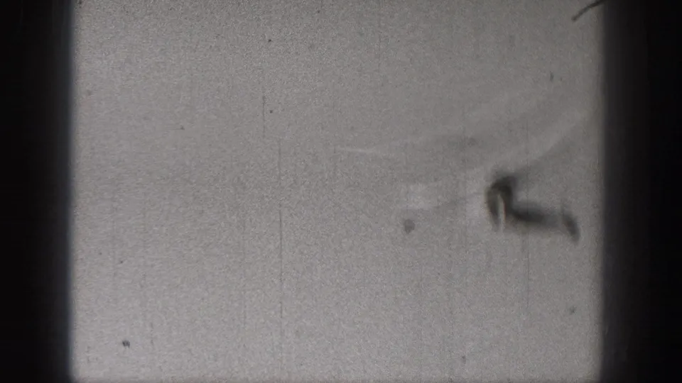 Soft 1938 Washington 8mm frame with the unmanned glider blurred in flight across the open sky.