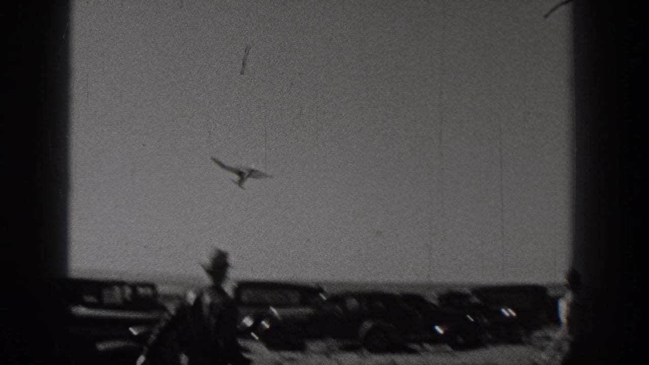 Model airplane in the sky above cars and a silhouetted man in a hat.