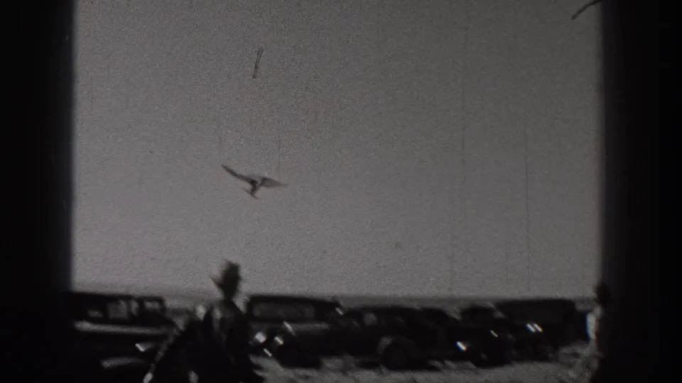 A small model aircraft flies over a row of 1930s-era cars as a hat-wearing spectator stands in the foreground.
