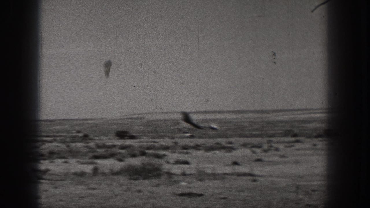 The small plane or model aircraft appears low over scrubby terrain in the 1938 Washington home-movie scene.
