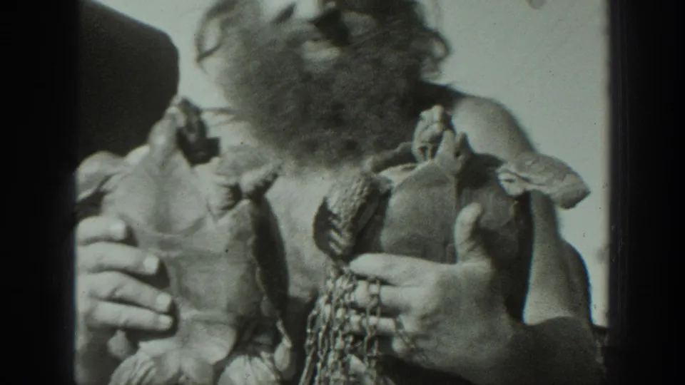 Near the end of the 1939 California clip, the man holds both turtles up close, showing one turtle’s underside and the other’s shell.