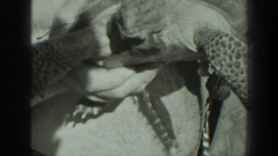 A tortoise is held near the shoulder of the bearded man, with its patterned shell and legs prominent in the frame.