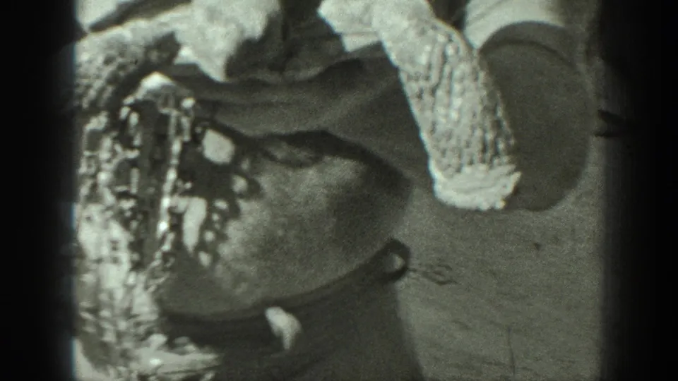 Close framing shows tortoises being handled, including a visible chain near one animal in the 1939 home-movie scene.