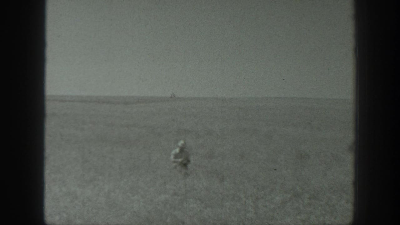 Distant person standing or working in a flat agricultural field under a pale sky.