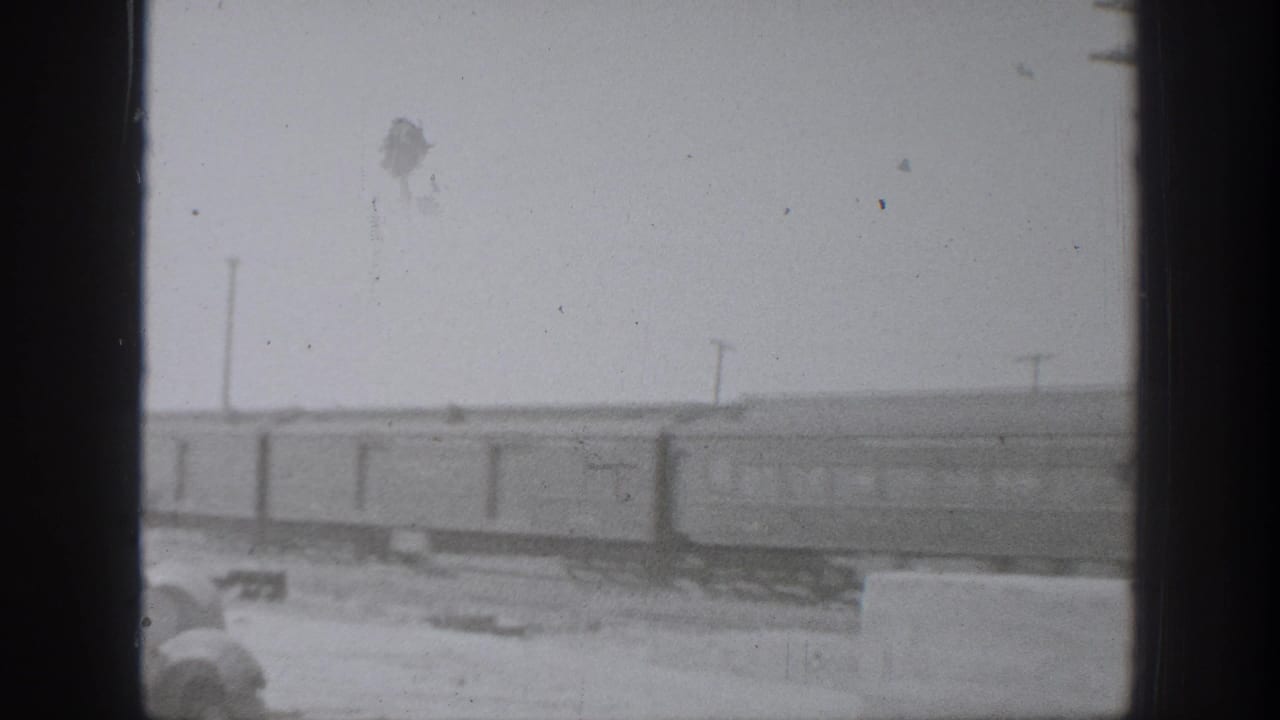Passenger rail cars moving across tracks under a pale sky.