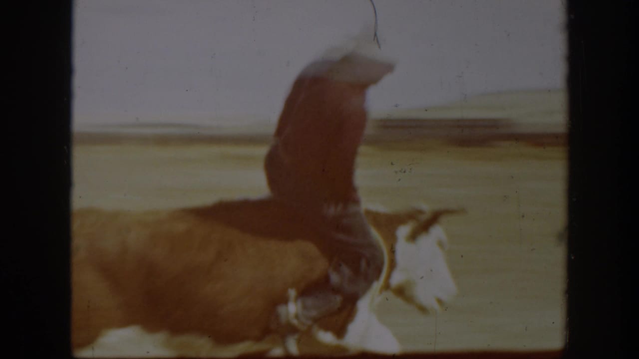 1939 California 8mm frame showing a cowboy in a hat riding a bucking horse across a dusty rodeo ground.