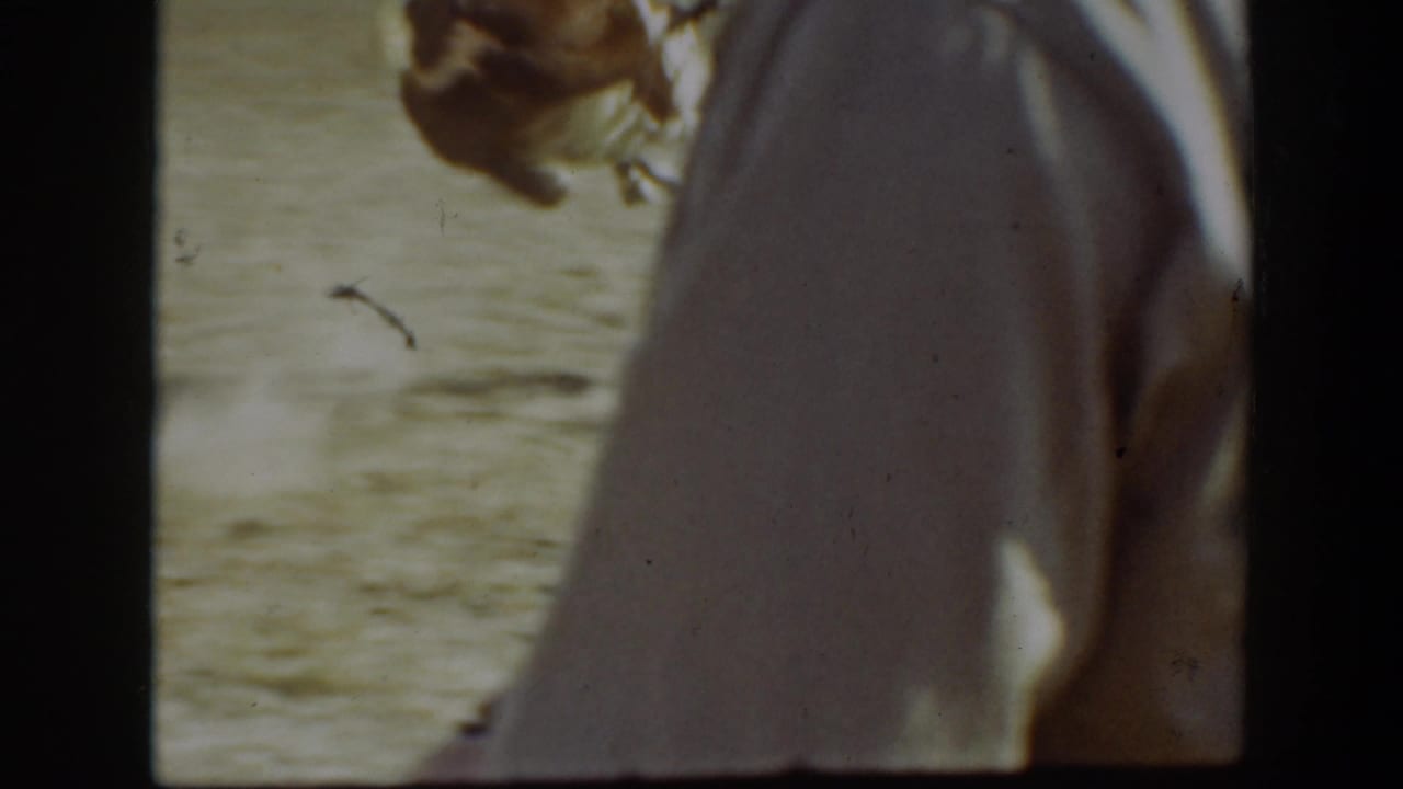 Partial close view of a rider and horse moving across the arena.
