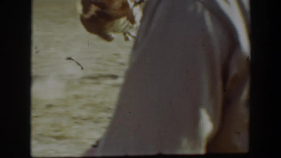 A cropped 8mm rodeo view shows the rider and horse in motion, with the cowboy partly out of frame.