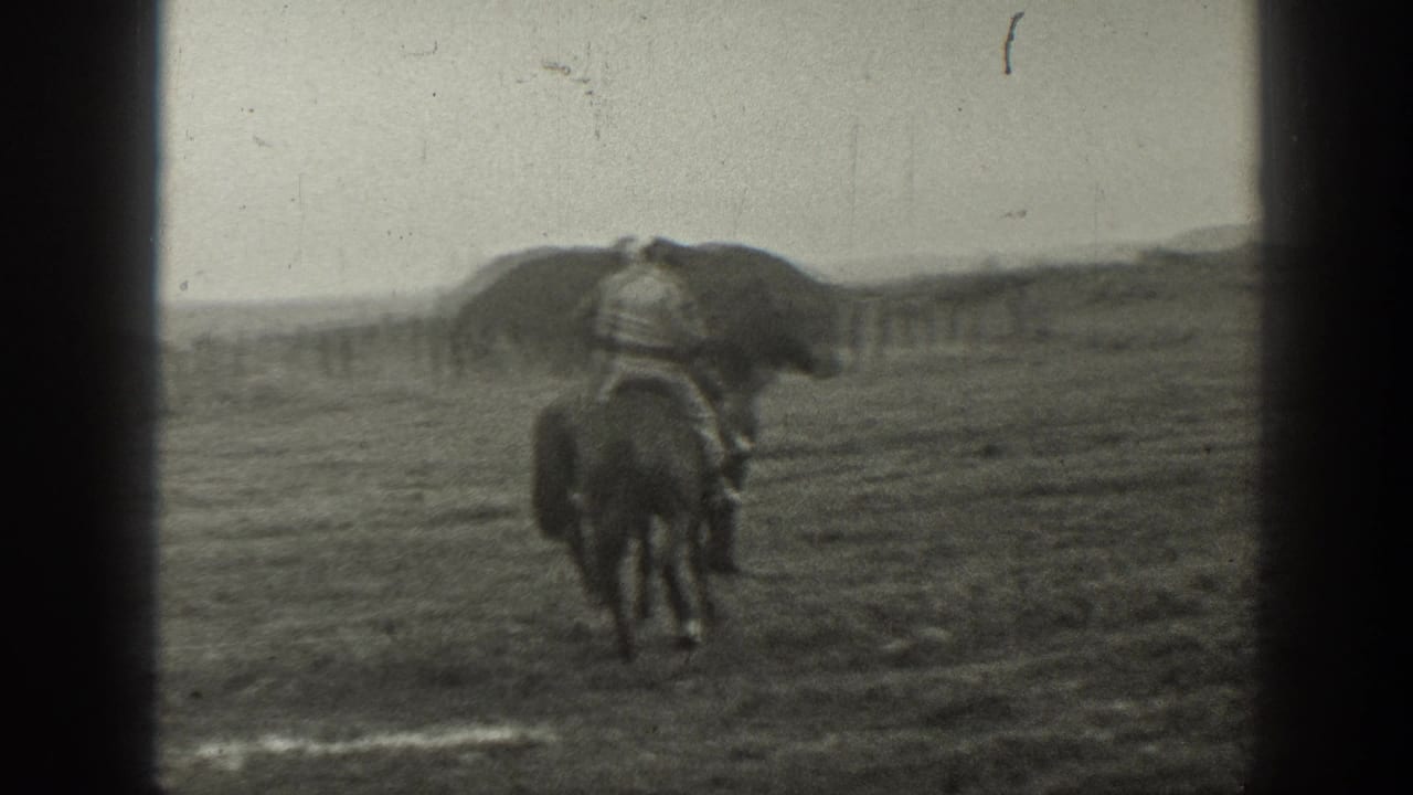 A rider on horseback faces away in an open field with a haystack behind.