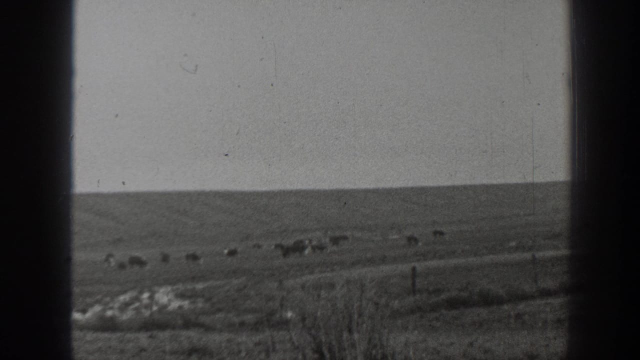 A wide rural Montana landscape appears in the 1939 home-movie clip, with distant cattle scattered across rolling open land and fence posts near the foreground.