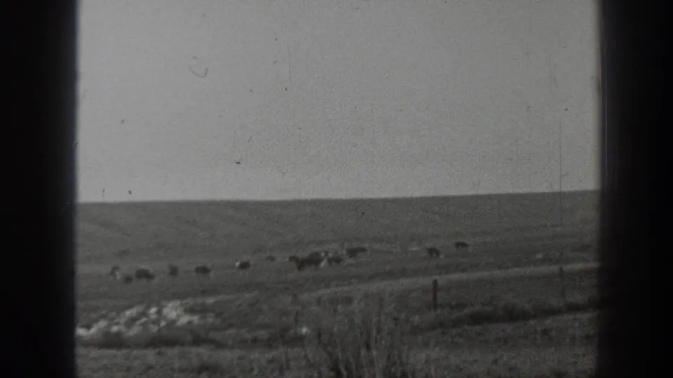 A wide rural Montana landscape appears in the 1939 home-movie clip, with distant cattle scattered across rolling open land and fence posts near the foreground.