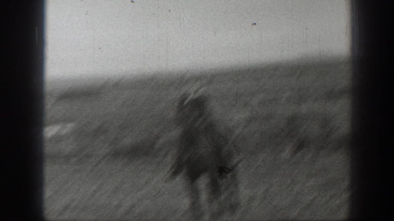 Blurred horseback movement across a grassy field.