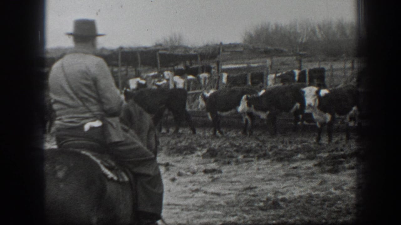 Mounted ranch worker seen from behind near cattle, wooden fences, and muddy corrals in 1939 Montana footage.
