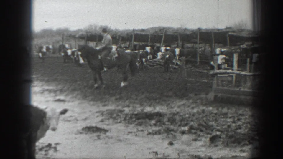 1939 Montana ranch scene with a rider on horseback, cattle, wooden pens, and wet ground in a home-movie frame.