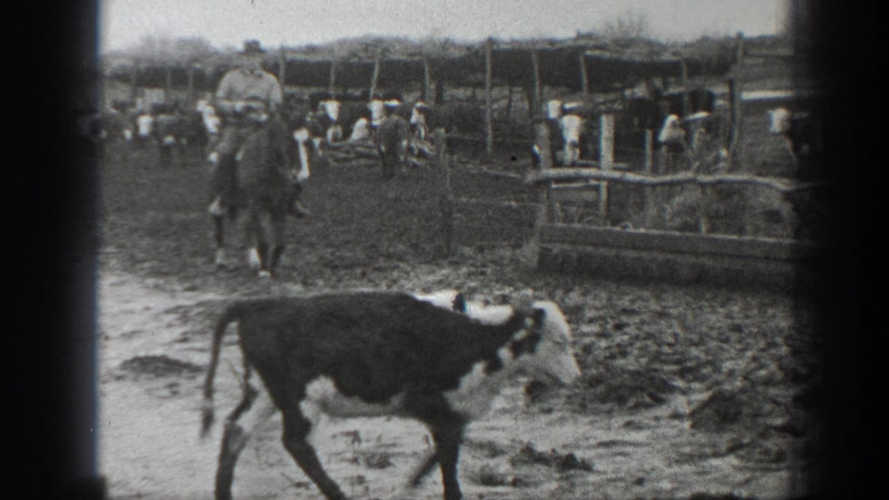1939 Montana farmyard view with two men on horseback, cattle pens, muddy ground, and a calf crossing close to the camera.