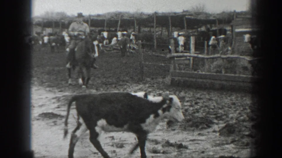1939 Montana farmyard view with two men on horseback, cattle pens, muddy ground, and a calf crossing close to the camera.