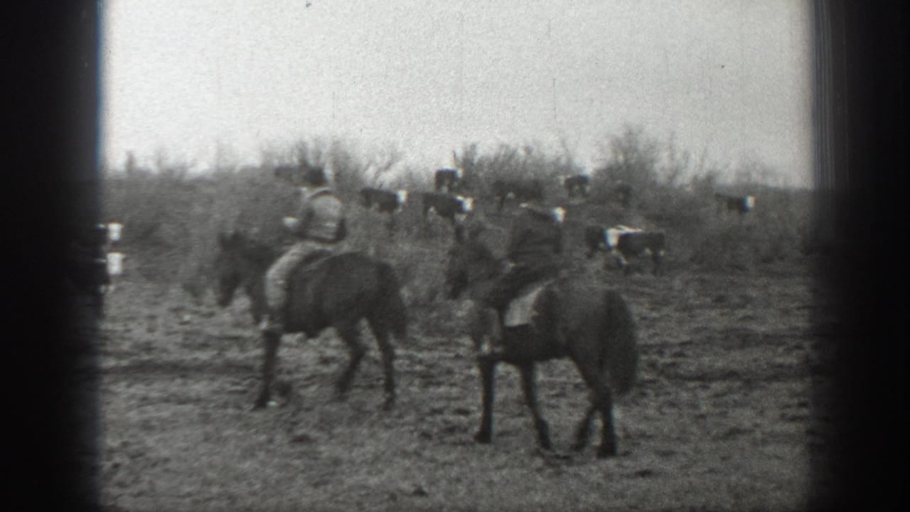 Two riders on horseback near cattle in an open field.