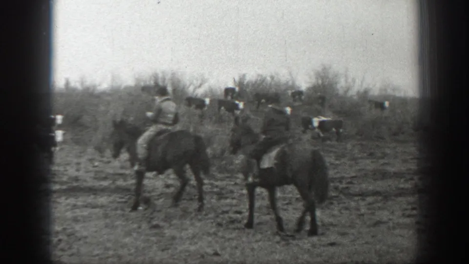 1939 Montana 8mm frame showing two riders on horseback moving near scattered cattle in an open rural field.