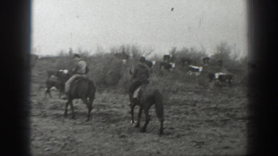 1939 Montana home-movie frame with riders on horseback and cattle spread across brushy open ground.