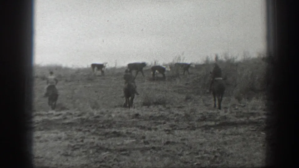 1939 Montana 8mm frame looking across a field toward cattle, with riders and a person on foot visible from behind.