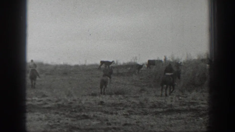 1939 Montana black-and-white frame showing a distant mounted rider and cattle across an open, brush-edged field.