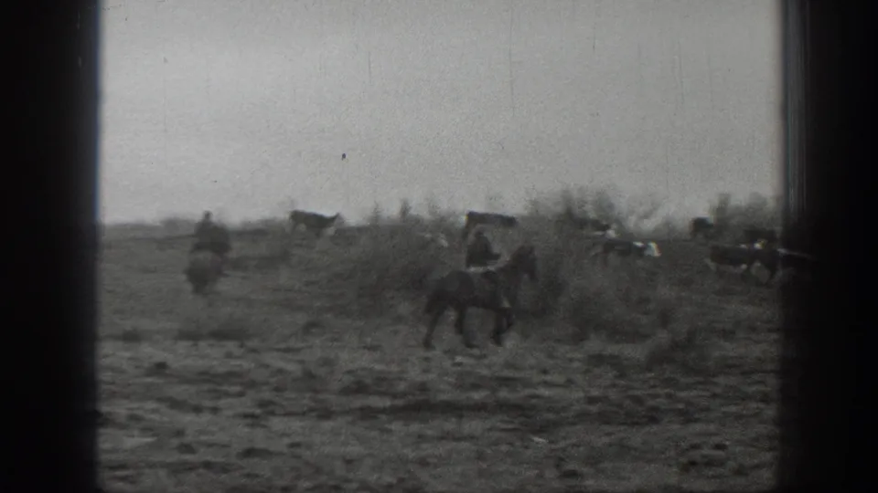 1939 Montana home-movie frame showing distant cowboys on horseback guiding livestock across rough open ground.