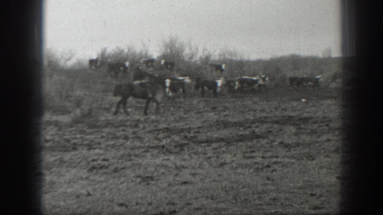 Distant ranch scene in Montana, 1939, with a horse in the foreground and riders managing livestock beyond brush.