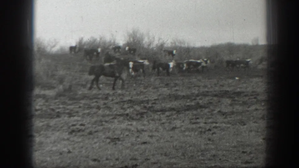 Distant ranch scene in Montana, 1939, with a horse in the foreground and riders managing livestock beyond brush.