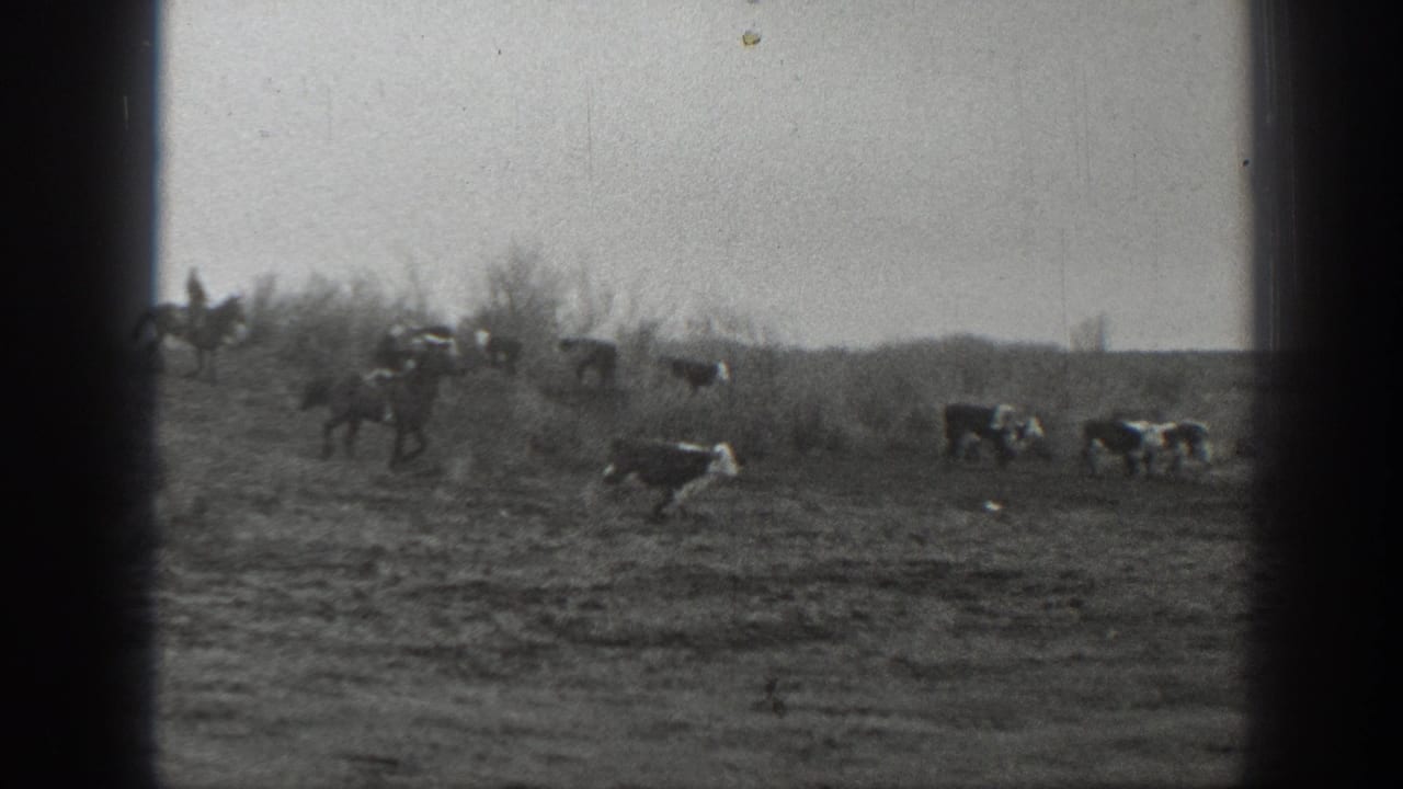 Riders and cattle spread across open ground near low brush.