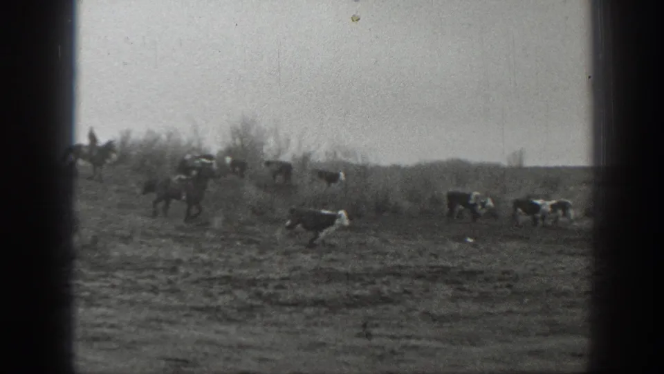 Mounted figures and cattle appear across a Montana plain, with the action seen from a distant home-movie viewpoint.