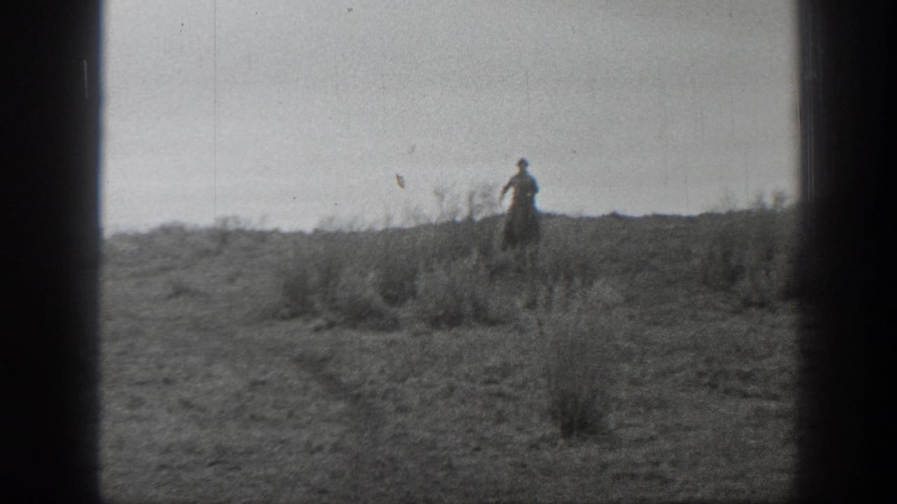 Distant cowboy standing or riding on open prairie near low brush.