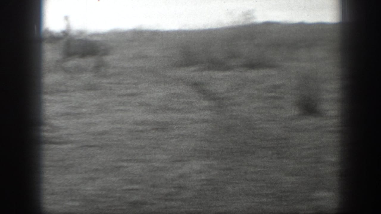Open prairie terrain in the Montana ranch sequence, with low brush, soft focus, and black 8mm frame edges.