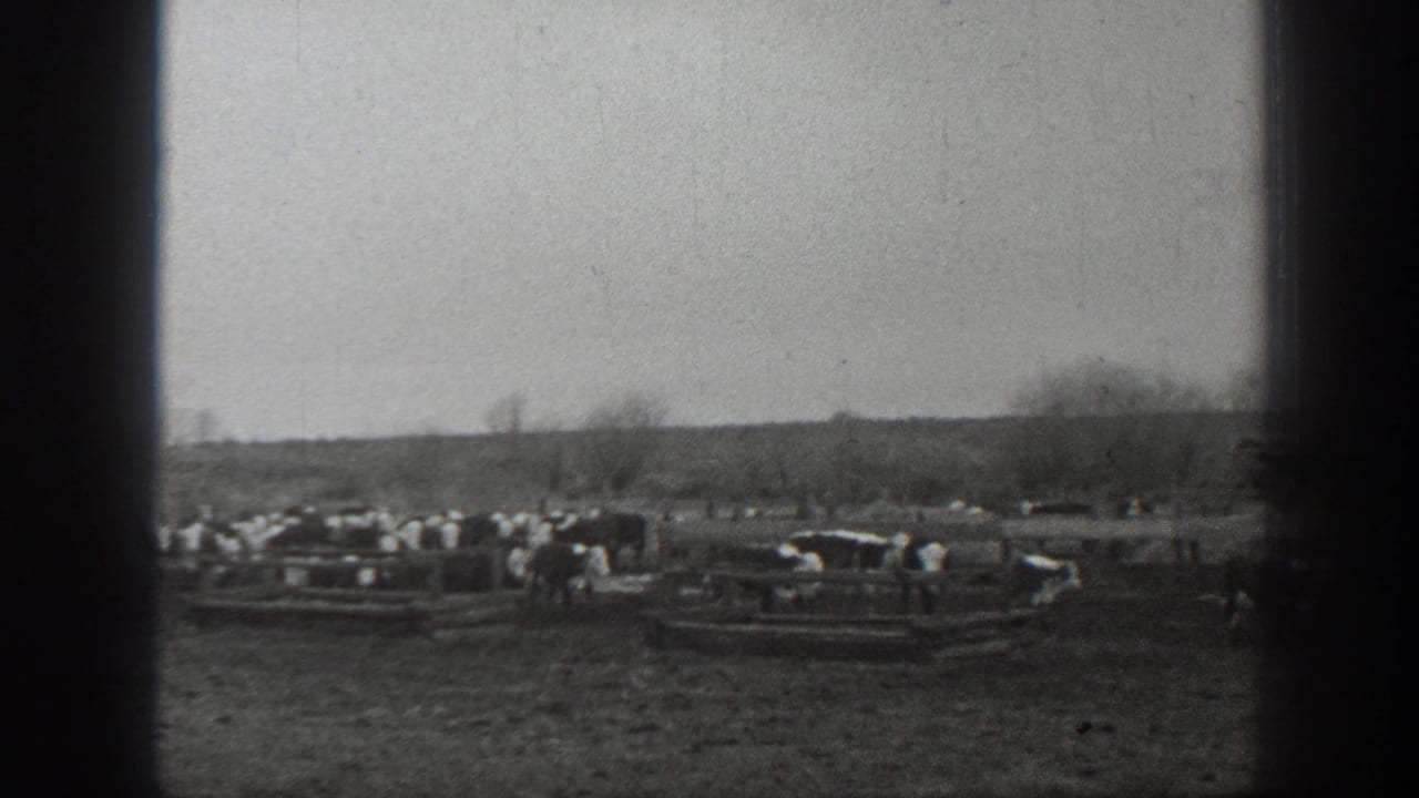 Black-and-white 1939 Montana farm footage showing cattle clustered near wooden feeding troughs under an overcast sky.